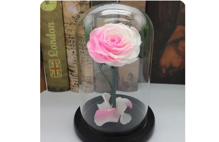 Сушеные цветы принц стеклянная крышка свежая консервированная роза цветок бесземная вечная роза в стеклянном куполе День Святого Валентина подарок для жены