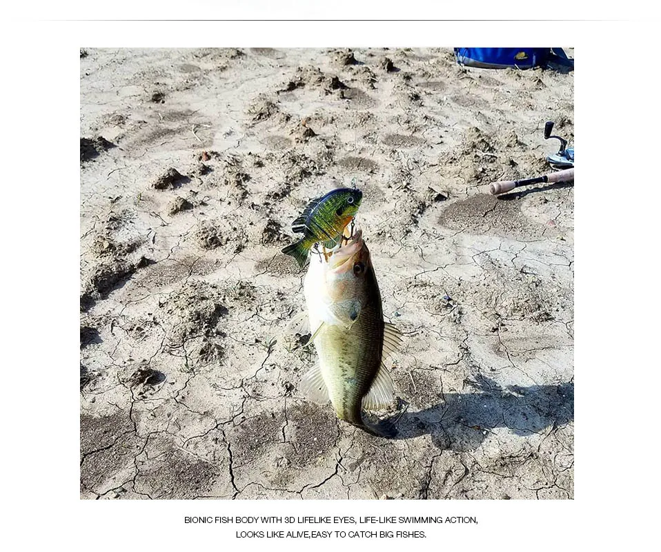 bass fishing lure_08