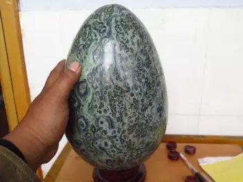 

xd j00505 natural Green Kambaba JASPER STROMATOLITE Fossil Quartz Crystal egg