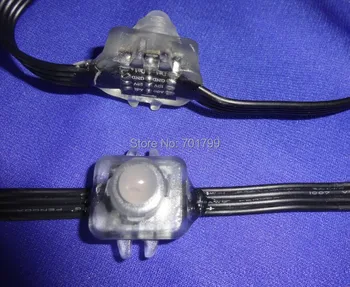 

100pcs DC12V 12mm WS2821A DMX512 LED pixel node;IP68 rated;epoxy resin filled;all black wire