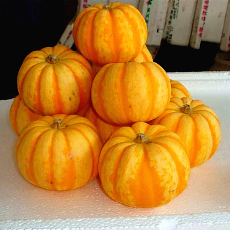 Semillas Sementes Pumpkin Seeds Little Melon Baby Vegetables Viewing Balcony And Delicious Nutrition Sell Like Hot Cakes 10pcs
