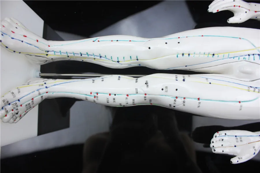 HD акупунктурные модели из мягкого силикагеля 50 см, акупунктурные меридианы для мужчин, акупунктурные меридианы