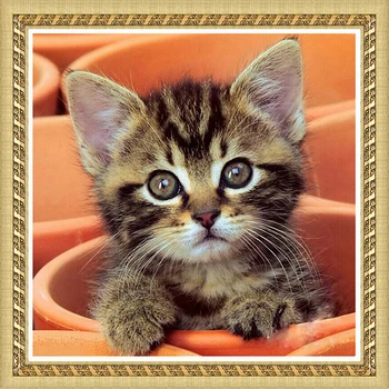 

Animals Cute Cat Round Diamond embroidered cross stitch diamond mosaic painting 5d Diamond Painting #JR0085