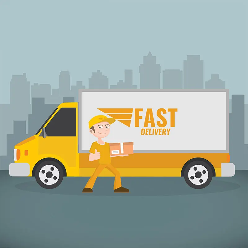 Onesta. Courier illustration. Web delivery. Delivery site. Bridgedb.