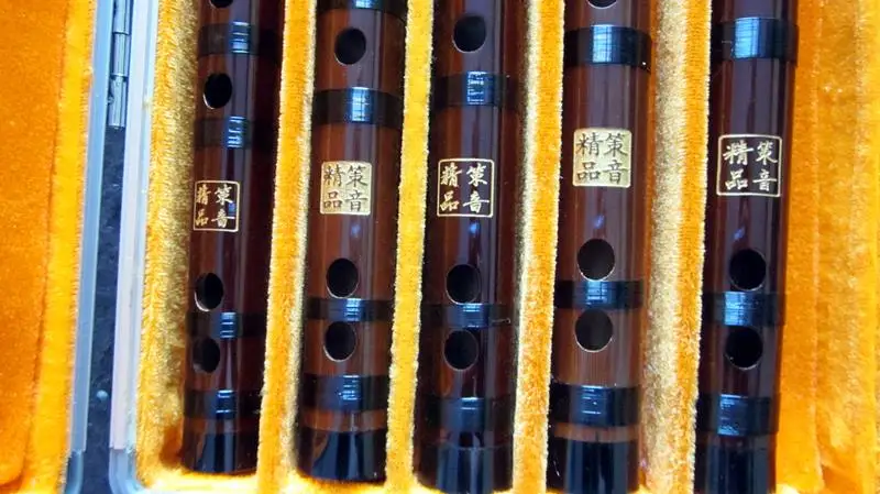 5Pcs/set Bamboo Flute Professional Woodwind Musical Instrument Chinese Dizi Transverse Flauta C/D/E/F/G With Aluminum Alloy Case
