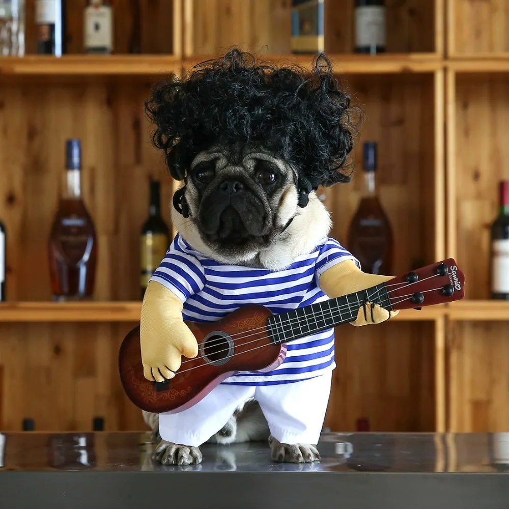 Kết quả hình ảnh cho Funny Pet Guitar Player Cosplay Dog Cat Costume Guitarist