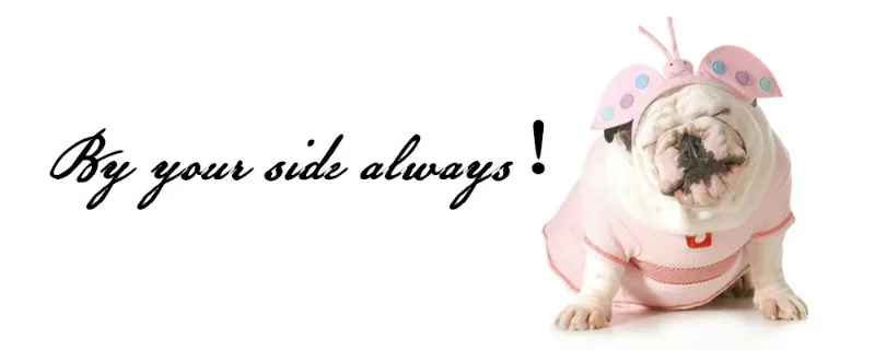 slogan_fuben