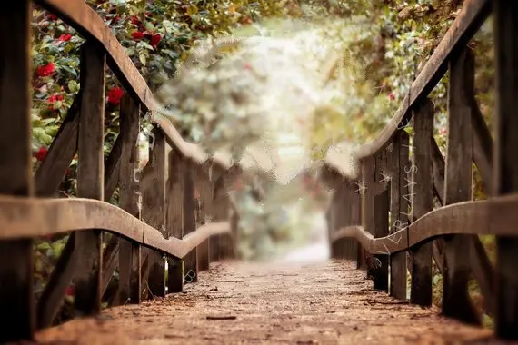 Spring Bridge Arch Summer flower leaves road backgrounds High quality Computer print wall backdrop | Электроника