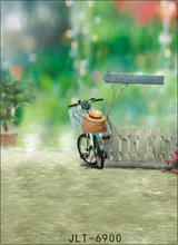 300cm*300cm Vinyl Custom Photography Backdrops Prop Digital Photo Studio Background S-6900