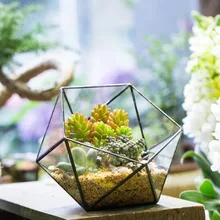 Desktop Geometric Glass Bowl Shape Plants Terrarium Bonsai Flower Pot Vase Garden Succulents Planter Decorative Flowerpot