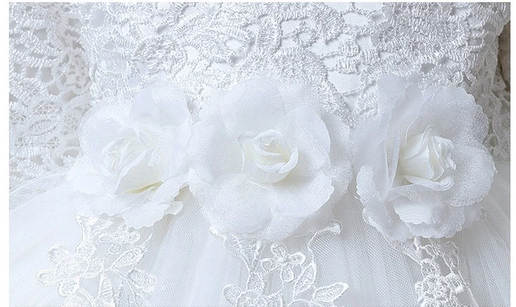 3565910043_591622202