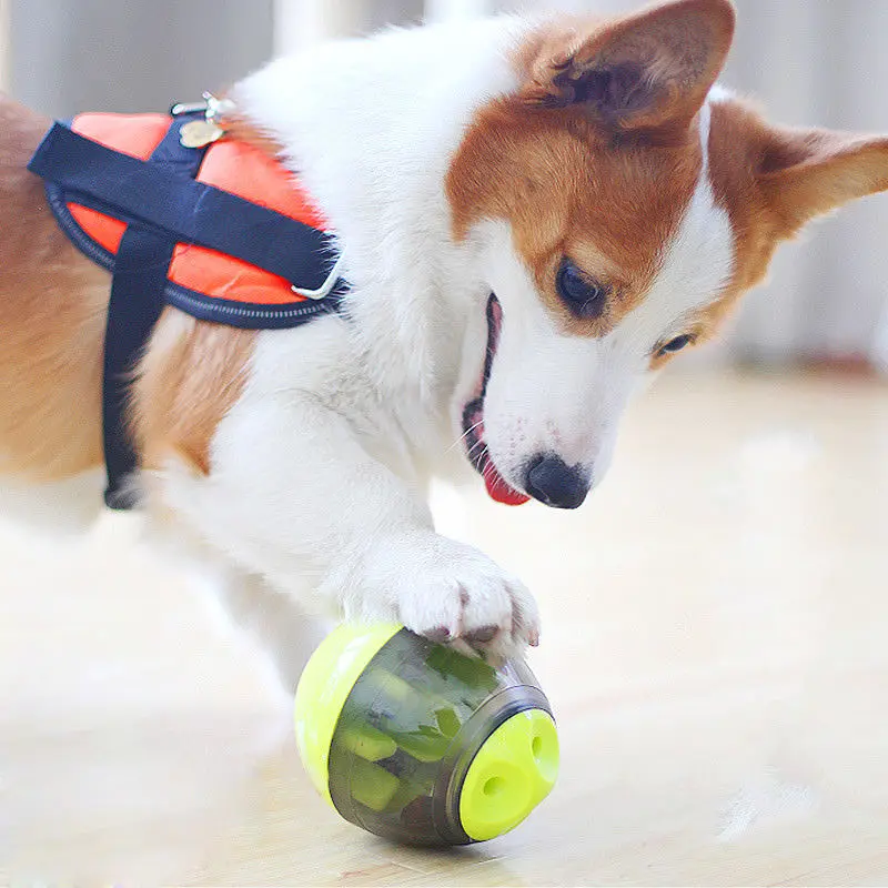 

Hot Pet Dog IQ Test Treat Dispenser Food Ball Dispensing Puppy Food Feed Toys LFD
