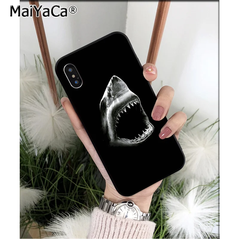 Ocean Sharks