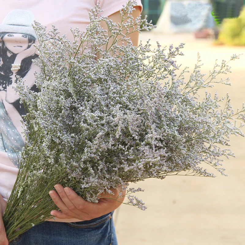 65 см Ретро Хрустальная трава натуральный сушеный цветок цветок аранжирование Аксессуары Украшение дома магазин