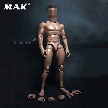 

12 Inches Male Muscular Body Figures without Neck For 1/6 Scale Mens Head Sculpts Gifts Collections Toys