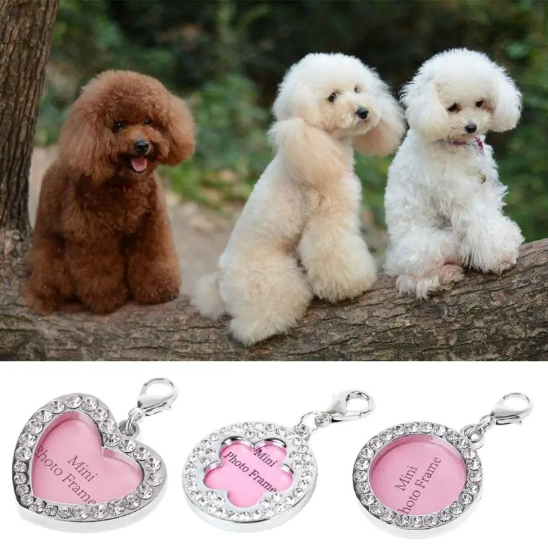 

Rhinestone Crystal Pet Puppy ID Tag Collar Neck Personalized Dog Cat Name Charms