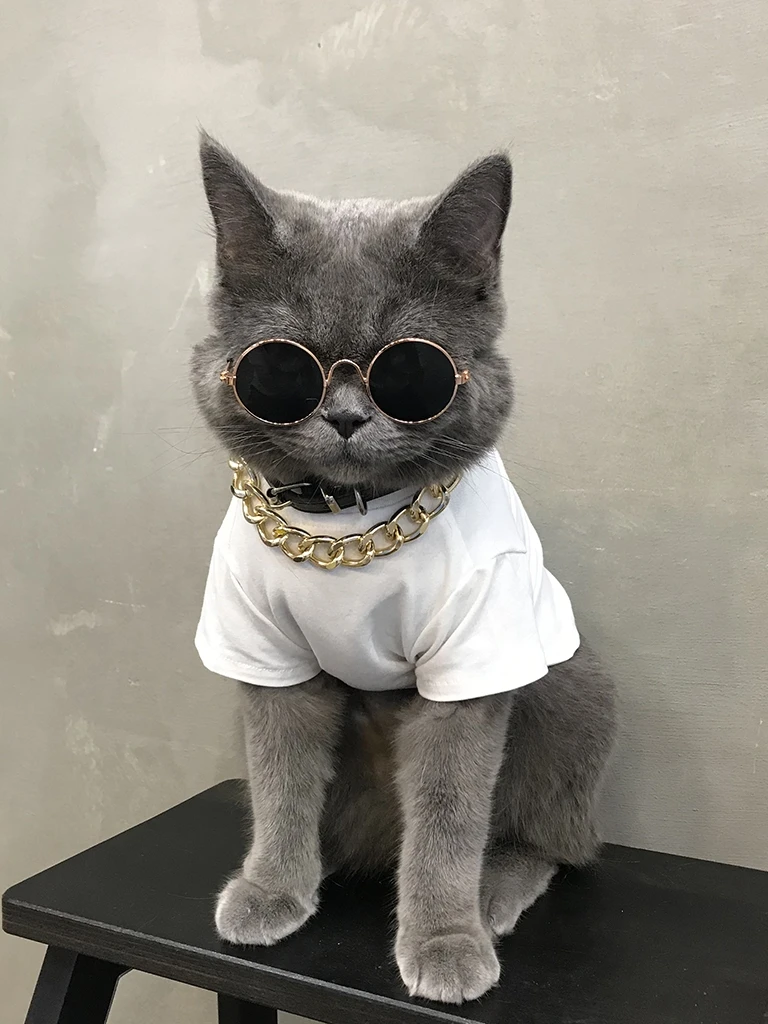 Одежда для кошек собак домашних животных котов французский щенок бульдога
