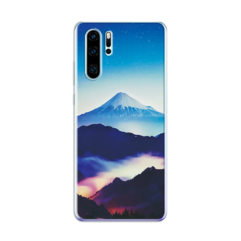 For Huawei P20 Cute Painted Case Fundas For Huawei P20 P30 Lite Soft Silicone Cover Novelty Phone Case Coque For Huawei P30 Pro