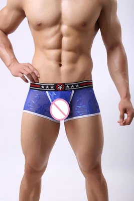 Fashion Men's Lace Transparent Underwear Nylon Comfortable Men Leisure Boxer Shorts Sexy Convex U Pouch Boxer Homme Underpants - Цвет: blue