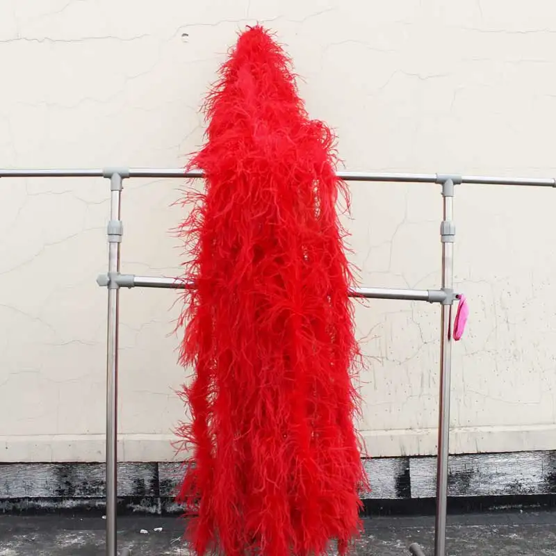 

50pcs/lot DHL Ostrich feather boa Costumes/Trim for Party/Costume/Shawl/Craft many colours Available