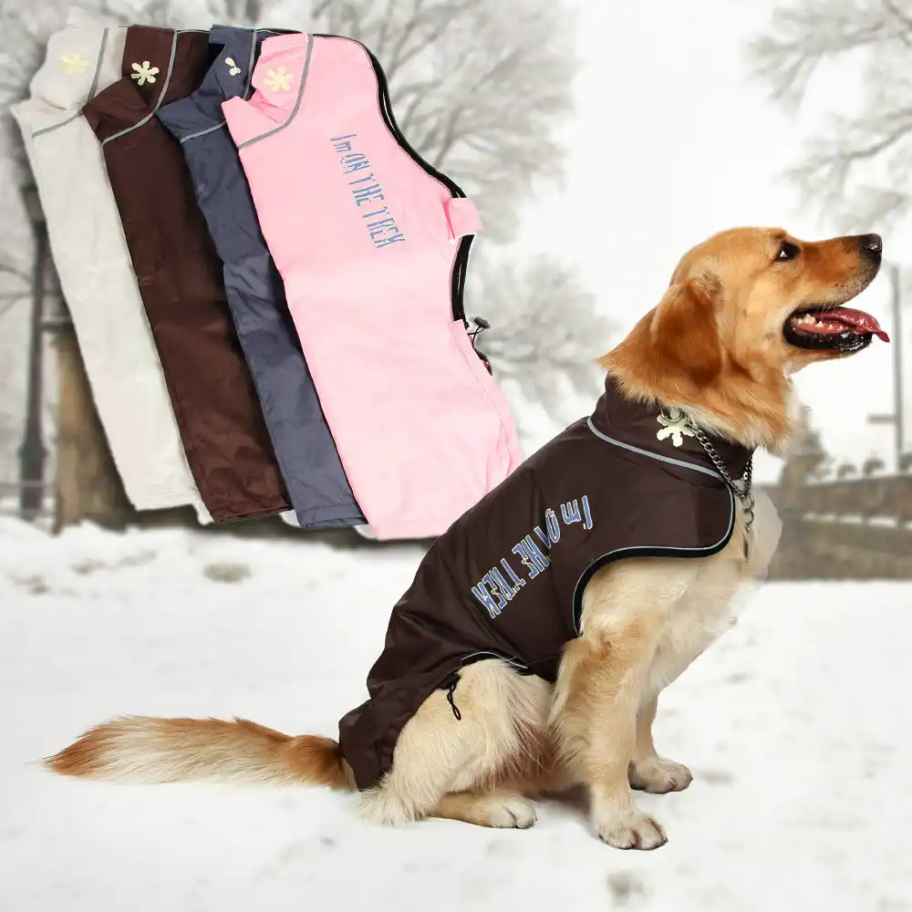 big dog motorcycle jacket