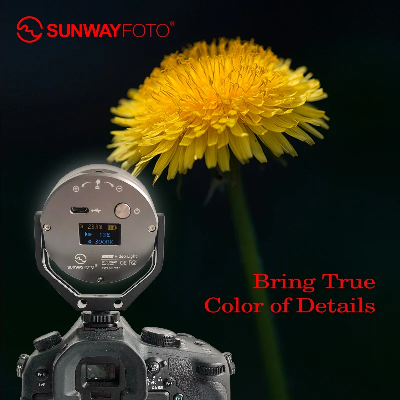 SUNWAYFOTO FL-54 LED Camera Photo Video Studio Light Photography Lighting Youtube Fotografia Led Ph