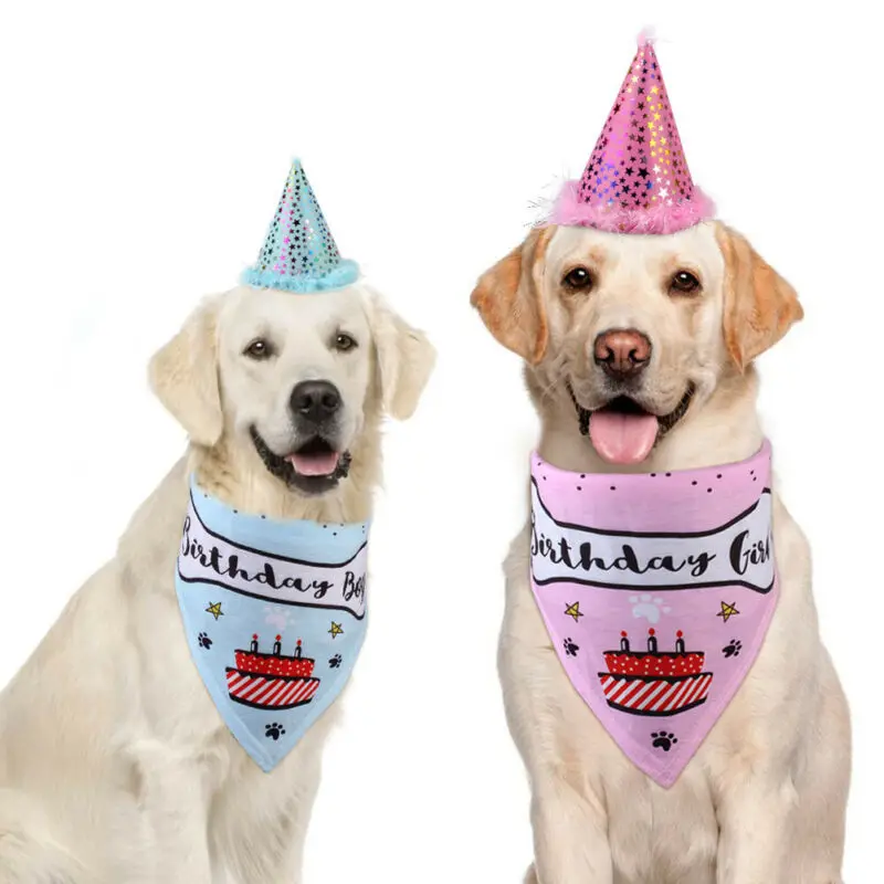 dog birthday scarf