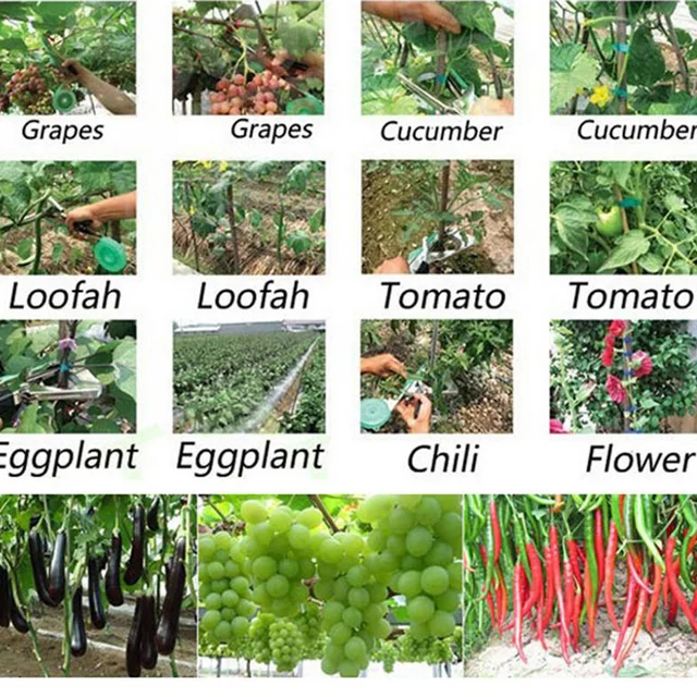 Vine Branch Tying Tape Machine Tie Stapler Plant Fruit Vegetable Vine Branch Tying Tape Machine Tie Stapler Plant Fruit Vegetable Nursery Prune