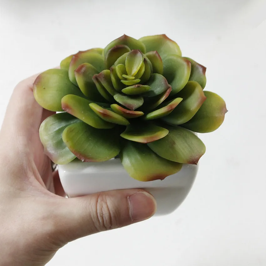 Flowermax мини суккуленты Искусственный Бонсай Поддельные Зеленый Echeveria растений