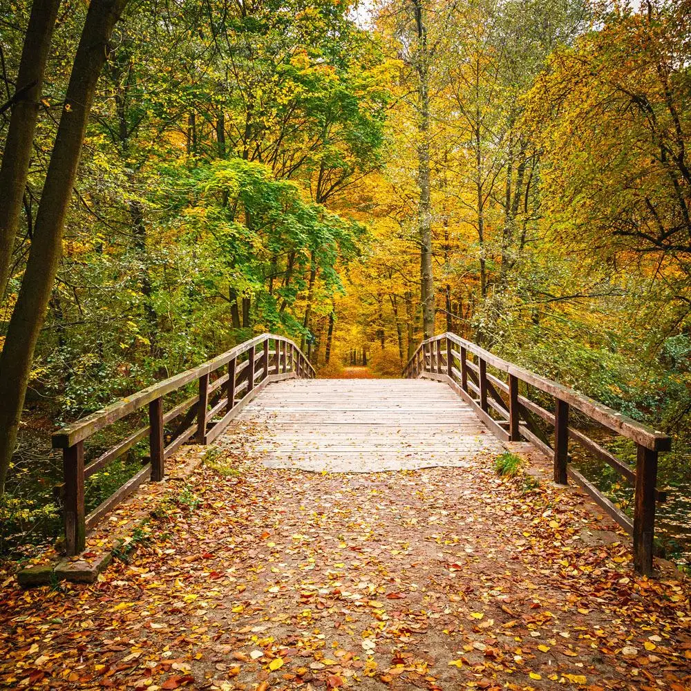 Autumn Digital Background Beautiful Autumn Desktop Backgrounds Fall