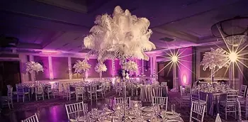 

(about 30 working days sent out order )OSTRICH FEATHER FOR WEDDING DECORATION AND WEDDING CENTERPIECES