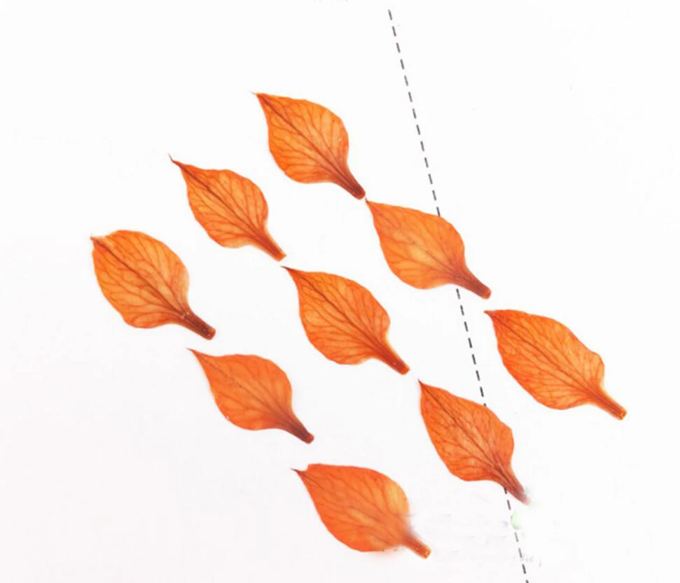 -orange