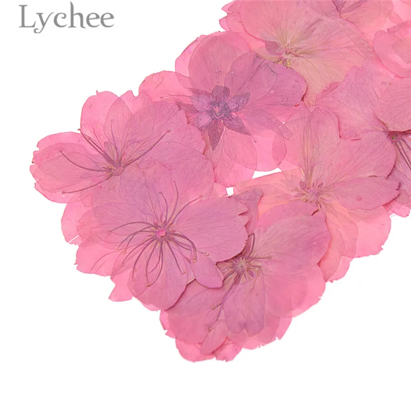 Lychee Life прессованный высушенный цветок сакуры натуральный вишни украшение для