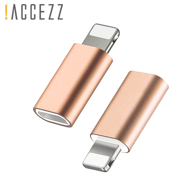 ACCEZZ Mini Micro USB для освещения для Apple адаптер для iphone X XS XR 6 7 5 Plus синхронизация данных Зарядка OTG конвертер для ipad Mini