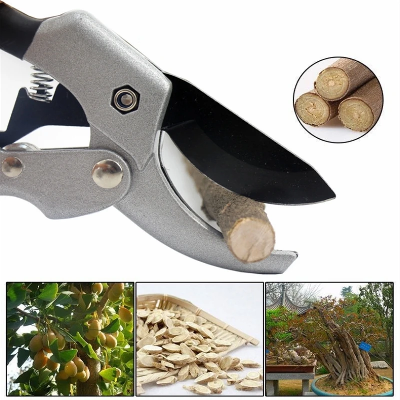 9035727015_2071888846