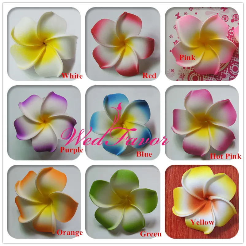 Colors (1)