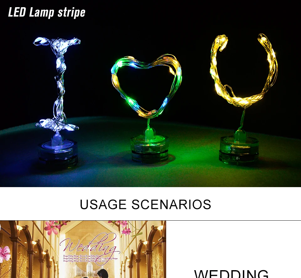 RGB LED Christmas string Lights (1)