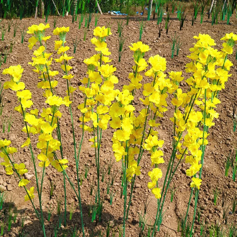 

Canola Flowers Artificial High Quality Garden Decoration Party Supplies Diy Accessories