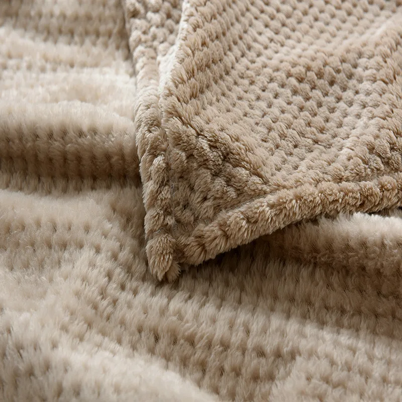 camel x (2)