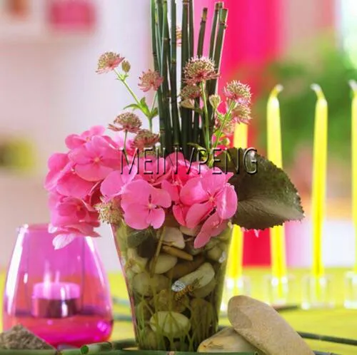 Promotion!20 mini moso Bamboo bonsai bamboo bonsai garden plant potted balcony budding rate of 90% DIY for home garden plan