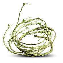 Bendable Artificial Tree Vine