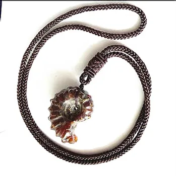 

Madagascar natural horn conch custom natural pendant necklace. Christmas gift. For girlfriend