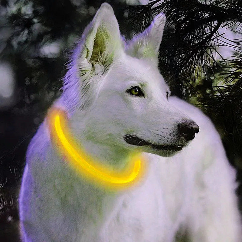 Светодиодный светильник-ошейник для собак, заряжаемый от USB, светящиеся ошейники для собак, светящиеся ошейники для домашних животных с ночной зарядкой, ошейники для маленьких, средних и больших собак - Цвет: Цвет: желтый