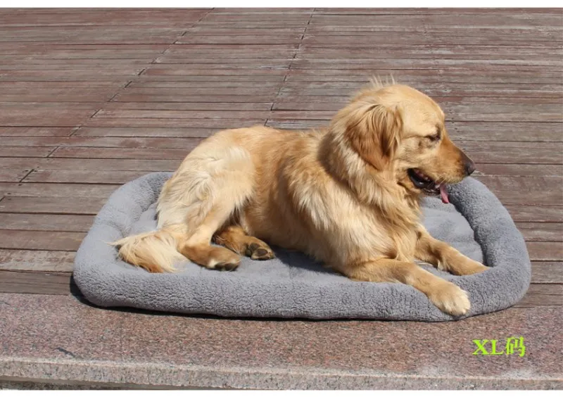 2833417737_806652075_