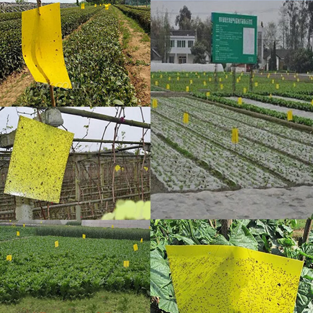1 шт. 25x15 см желтая бумага и слизи мощная липкая доска теплица Сад Двор для борьбы с вредителями
