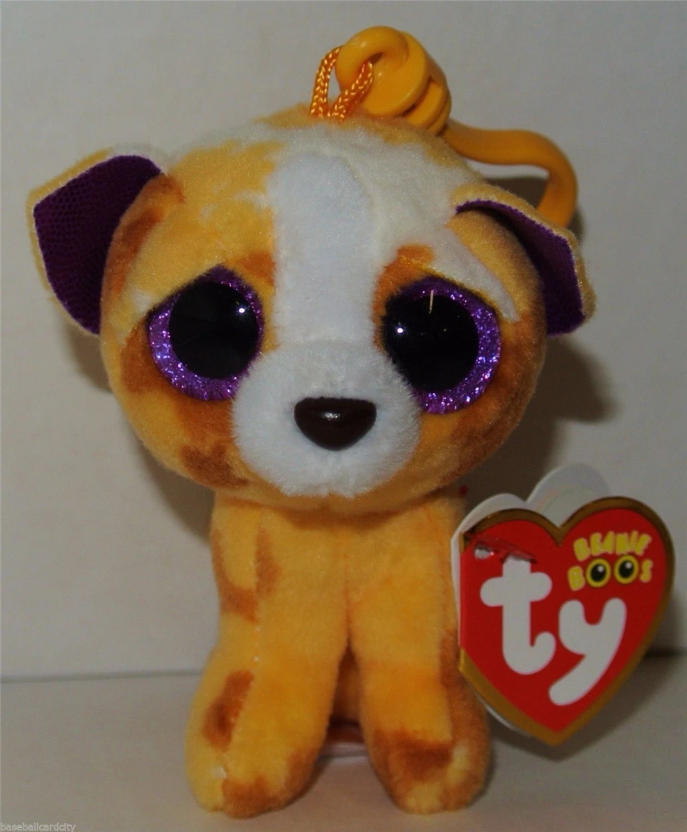 pablo the chihuahua beanie boo