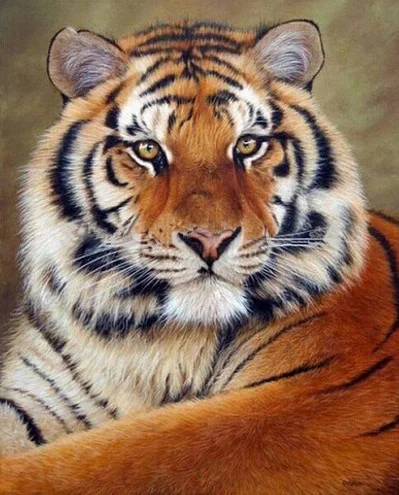 

5D Diy Diamond Painting Cross Stitch Full Diamond Embroidery Tiger 3D Diamond Mosaic Pattern Rhinestone Pasted Needlework Resin