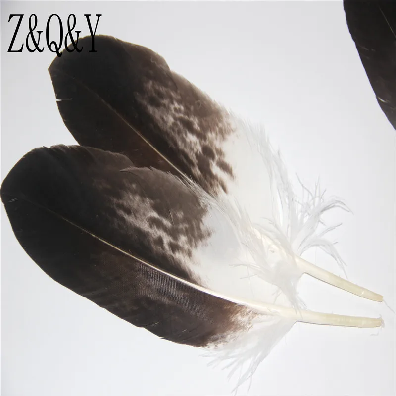 

Natural precious 2 25-30CM (10-12 inches)Eagle Feather collection, hats, headbands, clothing decoration Z & Q & Y