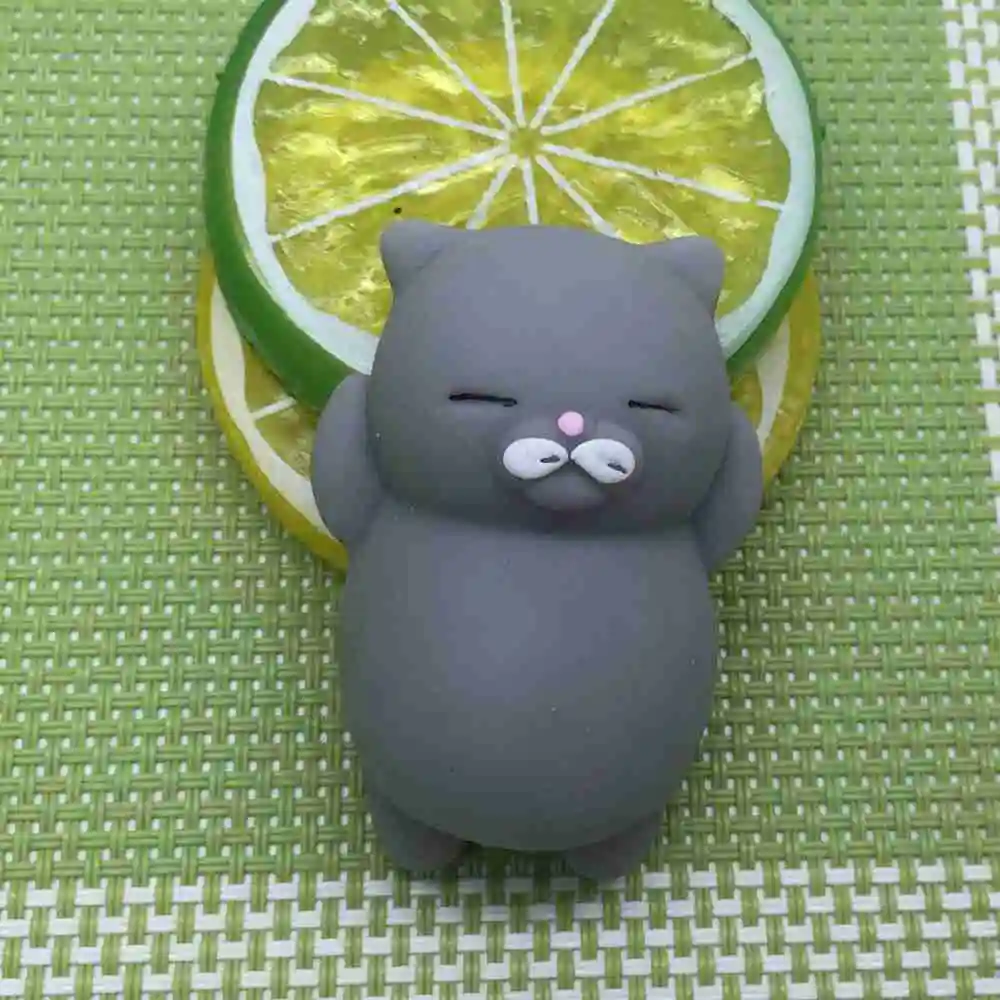 Squishy (10)