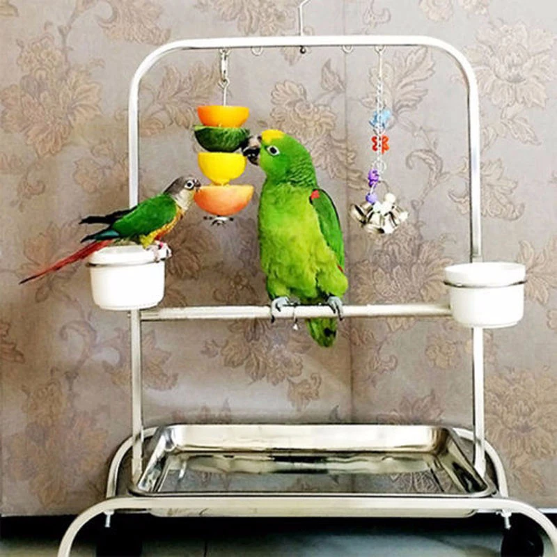WHISM Stainless Steel Bird Toy Fruit Spear Holder Bird Parrot Parakeet